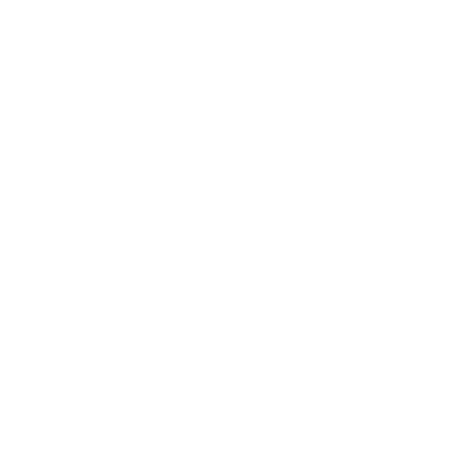 La Chaussette